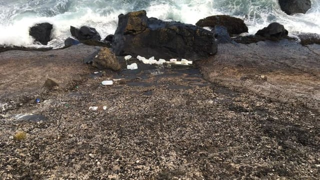 Reward for information about culprits who dumped milk on Antrim coast