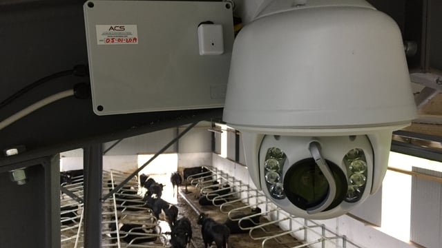 Future-proofing your farmyard: Installing calving cameras for the long haul