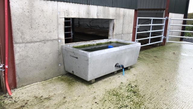 'Cold snap' likely to cause frozen water pipe problems on farms