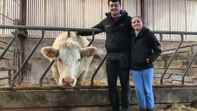Beef Focus: Sligo family making waves in the world of pedigree breeding