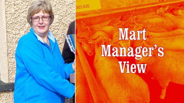 'Farmers were very keen for store cattle this week' - Eilish Curley