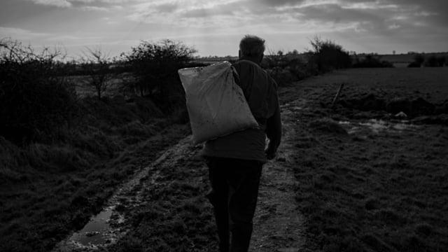 The price of low-cost: Irish food chain systems accused of 'perpetuating rural poverty'