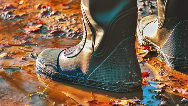 Status Yellow: Met Éireann warns of up to 50mm of rainfall