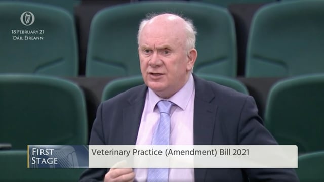 Veterinary practice bill gets strong support to move onto committee stage