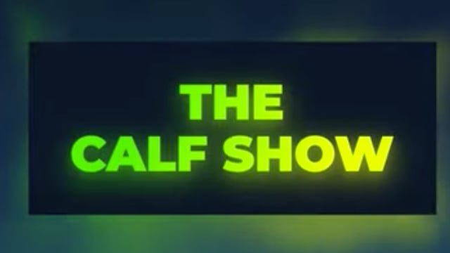 Video: 'The Calf Show' recap - From buying calves to turning them out