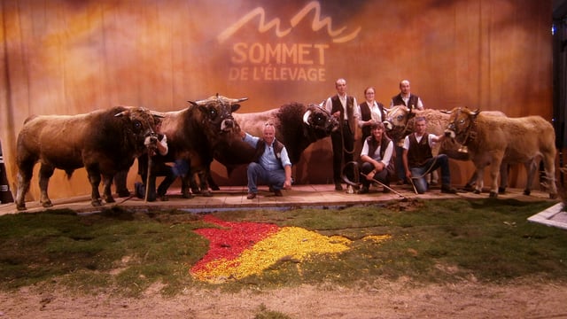 'Surprises planned' for special 30th Sommet de l'Élevage show