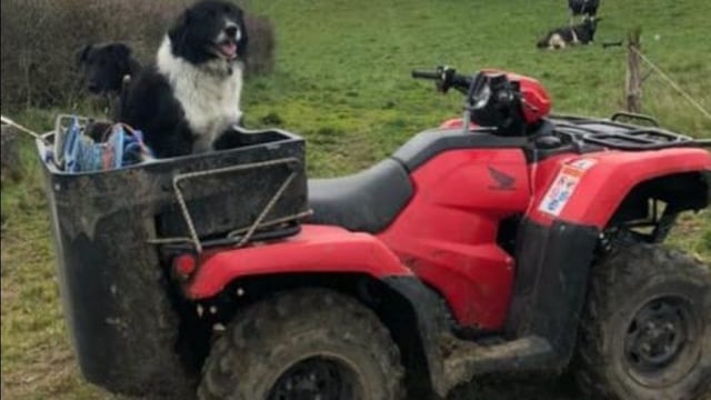 Quad stolen from farmyard in overnight raid