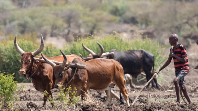 €12.5m in Irish Aid funding announced for farmers in developing countries