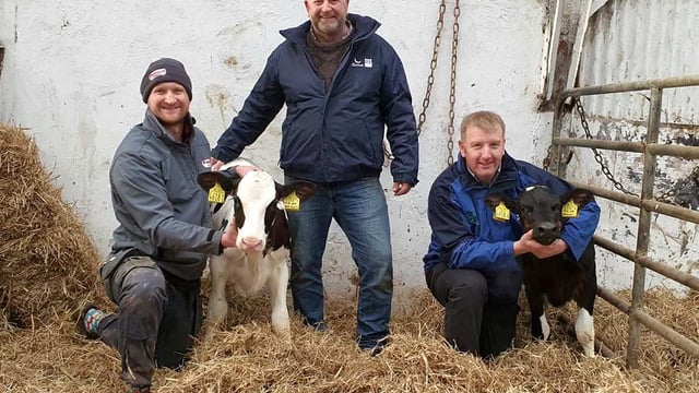 9 Northern Ireland heifers make top 20 of UK database