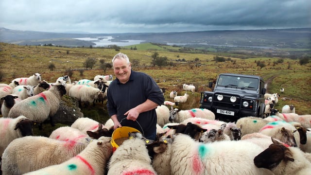 Sheep, sucklers and saving lives... all in a day's work for one Fermanagh farmer