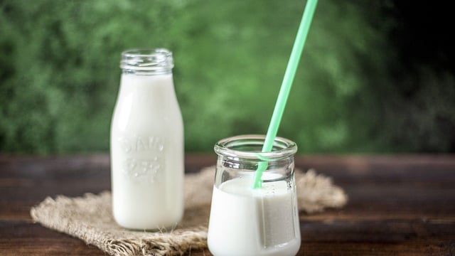Study: Dairy could reduce bone fractures by one third