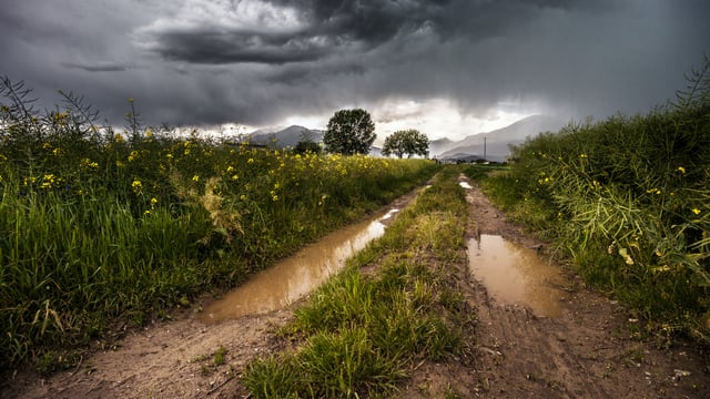 Met Éireann: Gusts of up to 110km/h for northwest