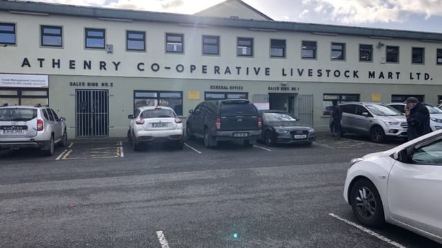 Solid trade remains for forward cattle at Athenry Mart