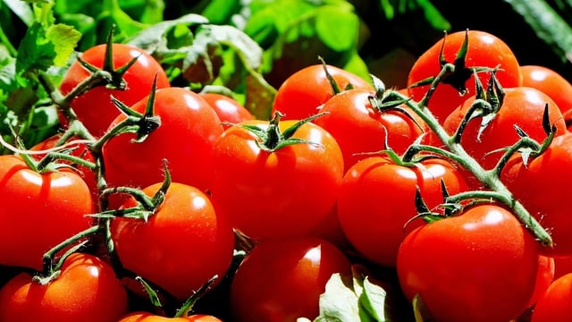 EU Council cuts tariffs on  Moldovan agri products