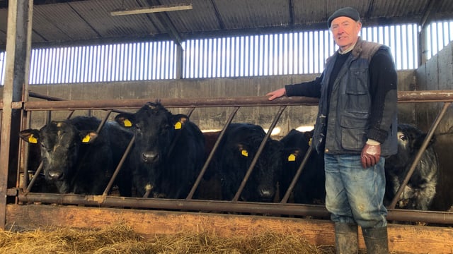 Beef Focus: Sticking with traditional suckler breeding in Co. Cavan