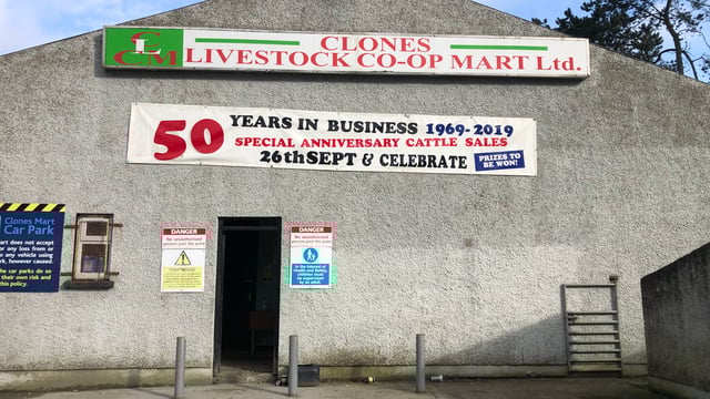 Pics and prices: Forward bullocks sell up to €2,000 at Clones Mart