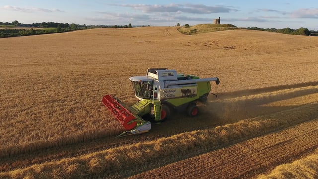 Opinion: The 2022 cereal harvest is just around the corner