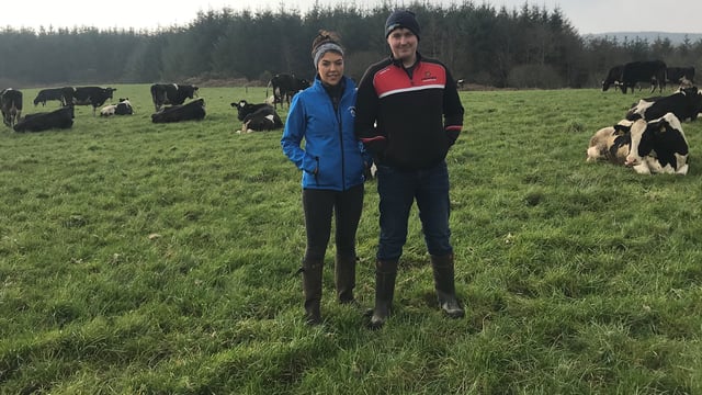 Dairy Focus: The journey from 50 to 120 cows at Cullencastle farm