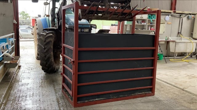 Video: Taking the hardship out of moving calves with the help of a calf transport crate