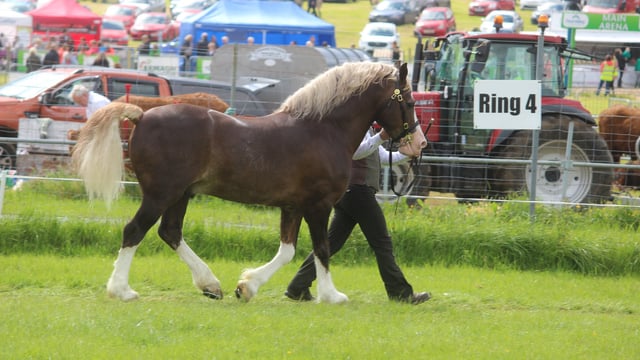 Armagh County Agricultural Show cancelled