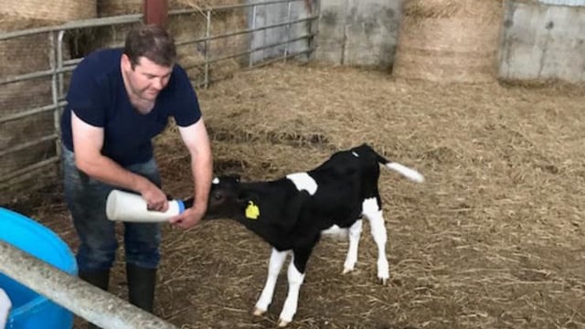 'John will be forever proud': 'Donate a calf' sale for palliative care a 'huge success'