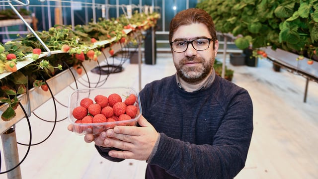 CAFRE to launch NI's first horticulture honours degree course