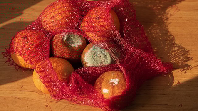 EPA funding opportunity for projects targeting food waste