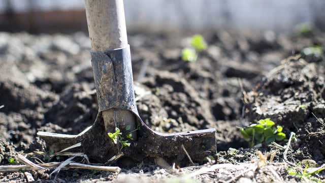 'More clarity' needed on how farmers can achieve Farm to Fork targets