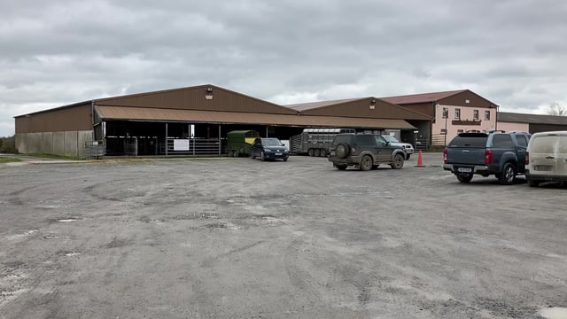 'Monster auction' aims to raise funds for Mountbellew Mart