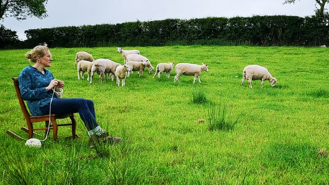 Love of crafts leads to Roscommon rare breed flock
