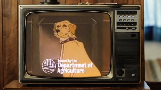 'Bonzo the dog' advert 'reimagined' as McConalogue issues lambing season warning