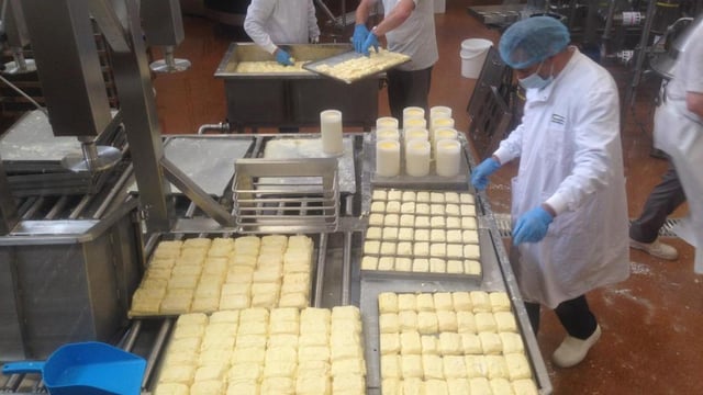 Daily Covid testing to replace isolation for UK food processing workers