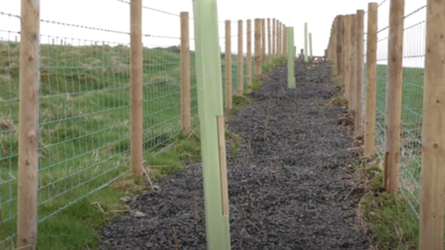 Could you be one of NI's first Environmental Technology Farms?