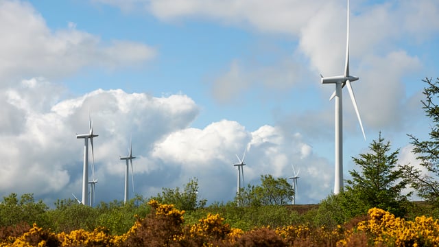 Northern Ireland energy sector to be fully decarbonised by 2050