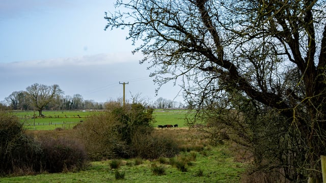 Biodiversity officers to be appointed in 10 local authorities