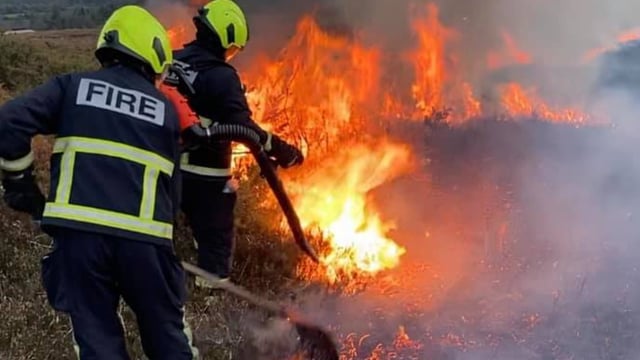 Pics: Firefighters battle gorse hilltop blaze in Laois