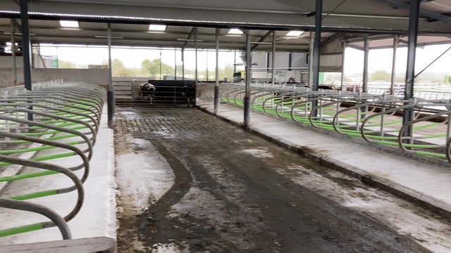 Farmers urged to take care when using cubicle lime