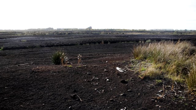 Noonan and Hackett to host peatlands event at the closing of COP26