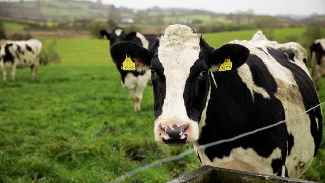Grass growth: Cold and wet conditions move in
