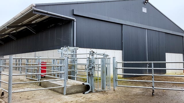 Buildings Focus: A loose shed and a top class handling facility in Co. Tipperary