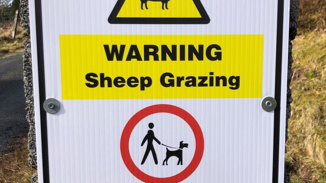 Humphreys to increase fine for dog attacks on livestock
