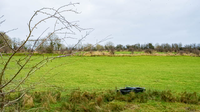 RSPB NI calls for climate policy reforms across NI