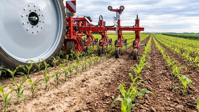 'Space to grow': Steketee sees 30% increase in sales for 2020