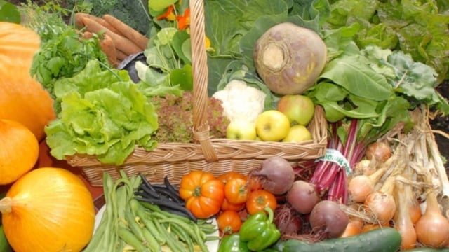 Horticulture support scheme worth €2.8 million announced