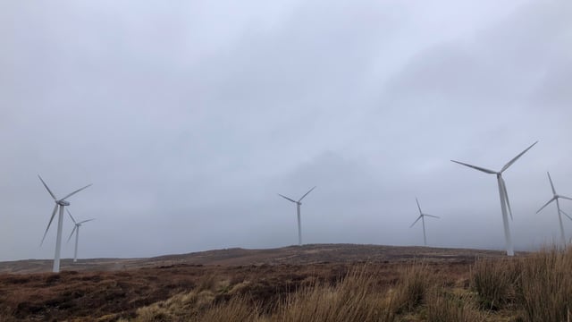 High Court challenge to Kilkenny wind farm on Coillte land