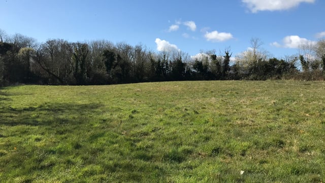 Five-division roadside holding for sale by online auction