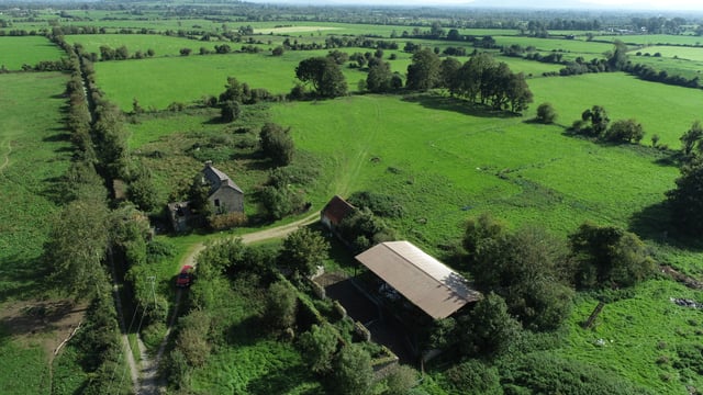 Bruff farm offers 'prime grazing land'