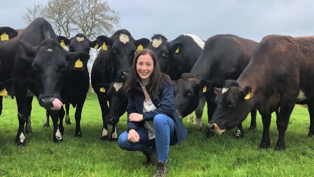 MSD announces new appointments in animal health