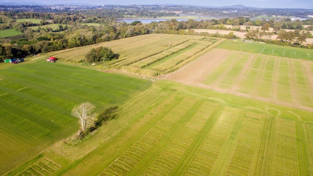 Sherry Fitzgerald: Grassland prices reach €12,170/ac in 2022