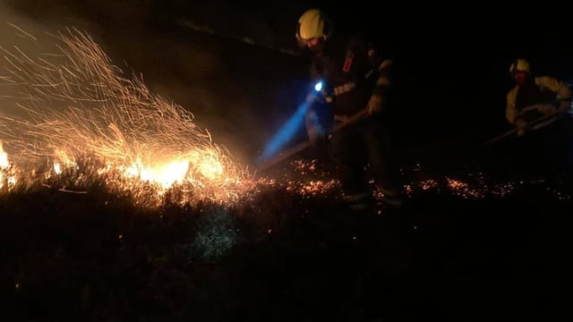 DAFM: 'Condition orange' forest fire warning in place